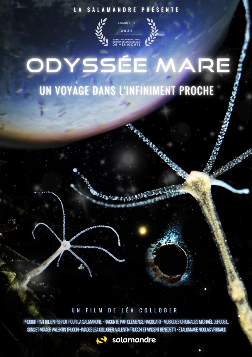 ODYSSEE MARE